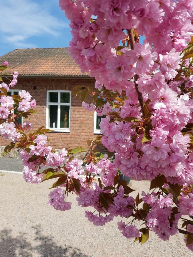 Finja Horlinge Guesthouse מראה חיצוני תמונה